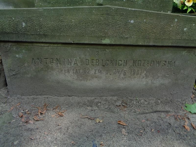 Zdjęcie grobu Antonina Kozłowska (2)