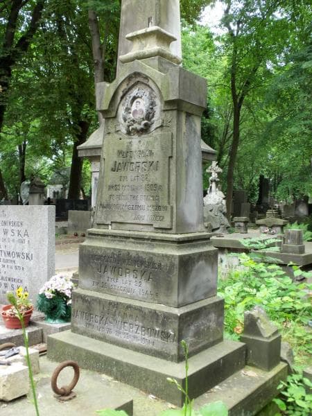 Zdjęcie grobu Władysław Jaworski (2)