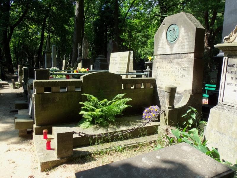 Zdjęcie grobu Kazimierz Dymitrowicz (1)