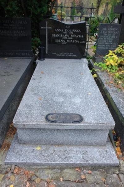 Zdjęcie grobu: Anna Dolińska
