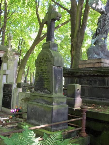 Zdjęcie grobu Aleksander Janiszewski (2)