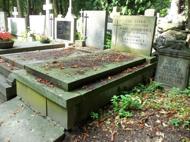 Zdjęcie grobu Ewa Lotko (1)