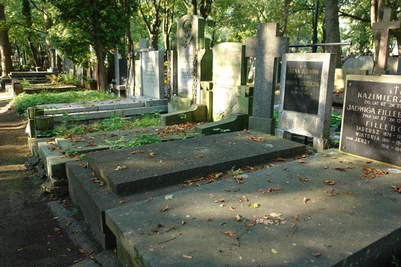 Zdjęcie grobu Irena Jóżwiak (1)
