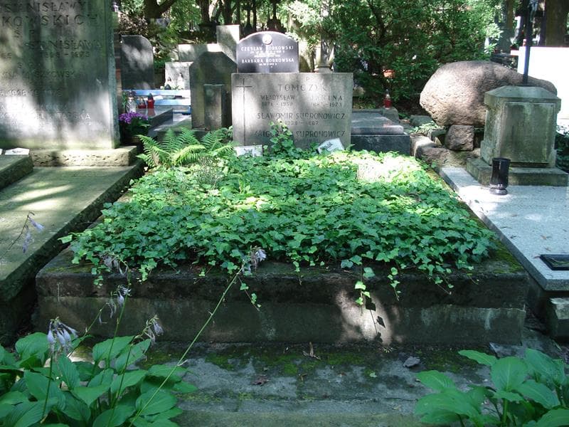 Zdjęcie grobu: Wincenty Tomczyk