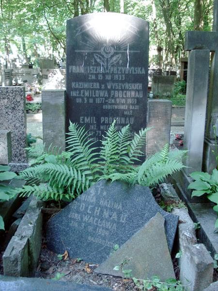 Zdjęcie grobu Franciszka Przybylska (1)