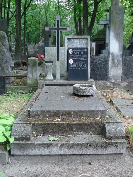 Zdjęcie grobu Władysław Jaworski (1)