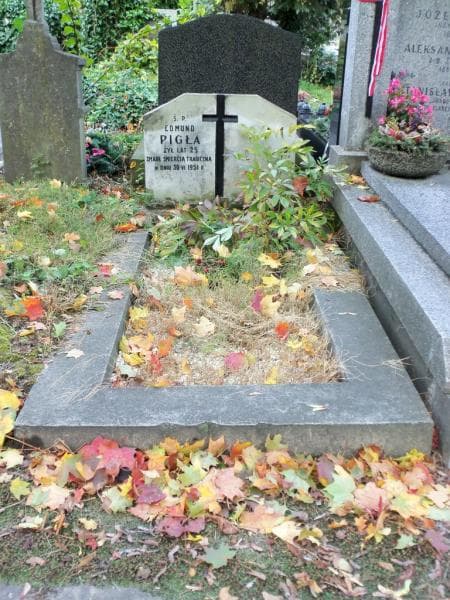 Zdjęcie grobu: Edmund Pigła