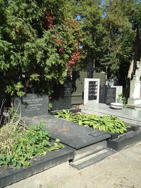 Zdjęcie grobu Cecylia Mandel (1)