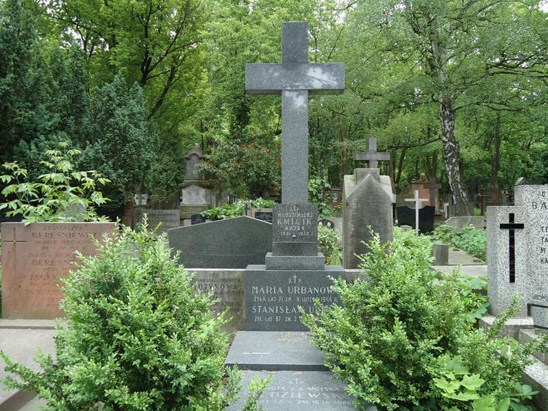 Zdjęcie grobu Włodzimierz Kmicik (2)