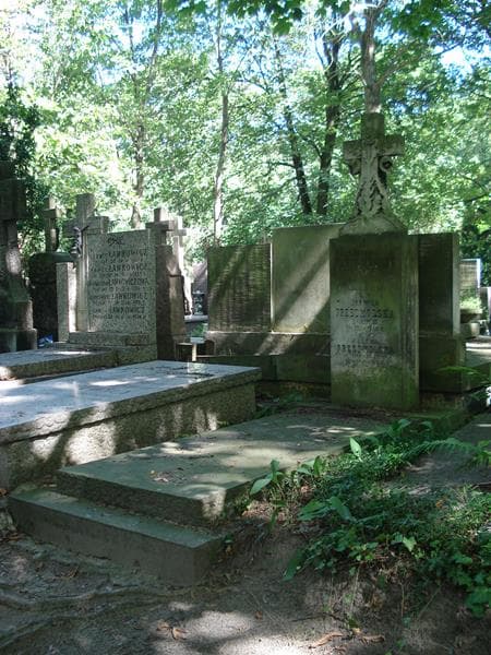 Zdjęcie grobu Wincenty Przedmolski (1)