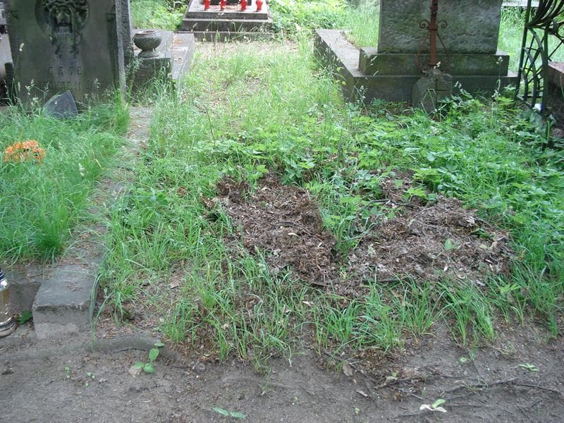 Zdjęcie grobu: Pole Grobowe