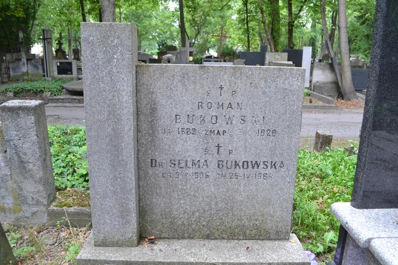 Zdjęcie grobu Selma Bukowska (2)