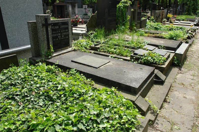 Zdjęcie grobu: Stanisław Zawadzki