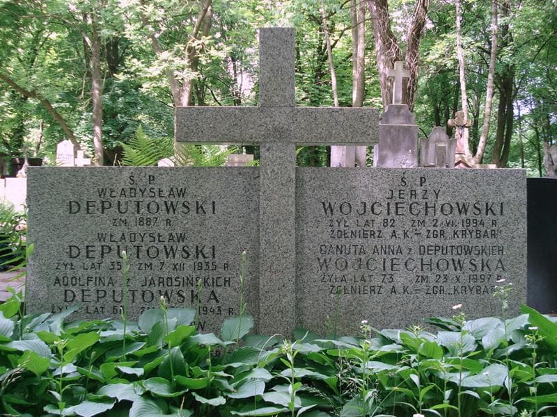 Zdjęcie grobu Władysław Deputowski (2)