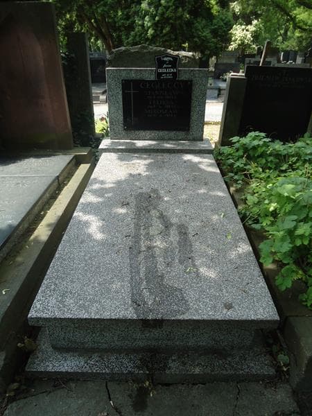 Zdjęcie grobu: Stanisław Ceglecki