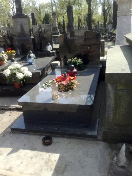 Zdjęcie grobu: Tadeusz Nalepa