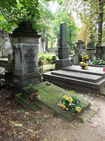Zdjęcie grobu Ludwik Herner (1)