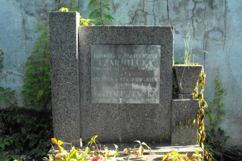 Zdjęcie grobu Eleonora Czarniecka (2)