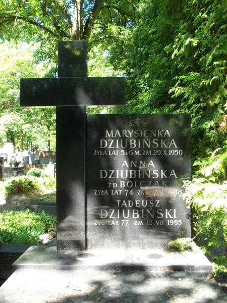 Zdjęcie grobu Tadeusz Dziubiński (2)