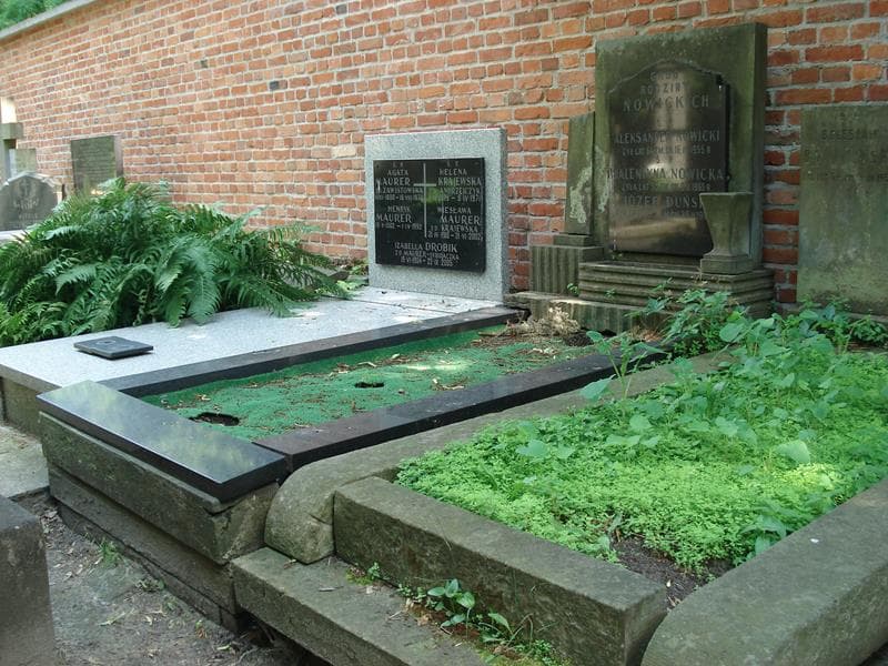 Zdjęcie grobu Aleksander Nowicki (1)