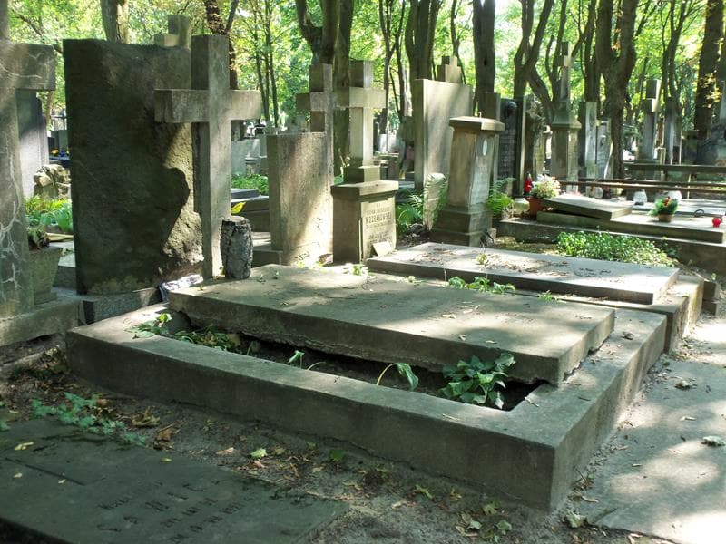 Zdjęcie grobu: Edward Piwnicki