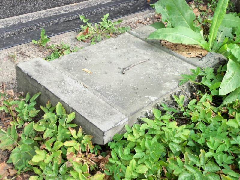 Zdjęcie grobu Pole Grobowe (2)