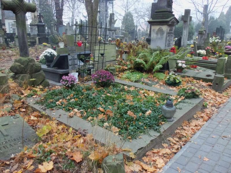 Zdjęcie grobu Bolesław Haft - Szatyński (1)