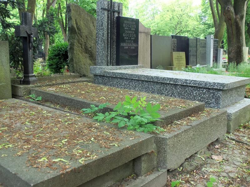 Zdjęcie grobu Feliksa Frydrych (1)