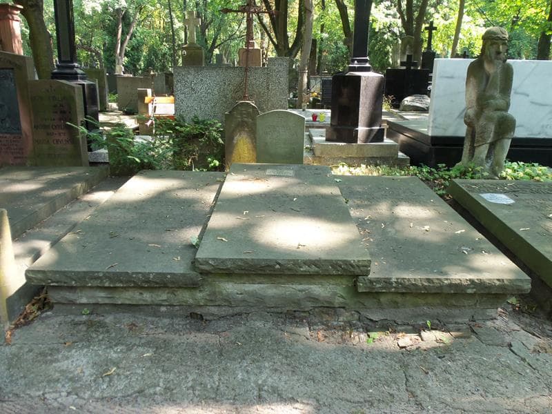 Zdjęcie grobu Stanisław Wydżga (1)