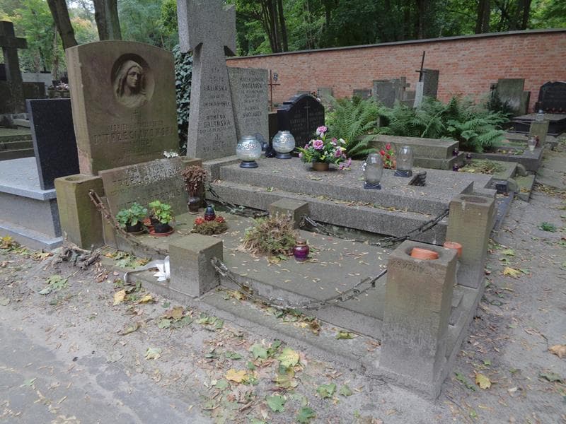 Zdjęcie grobu: Witold Trzeciakowski