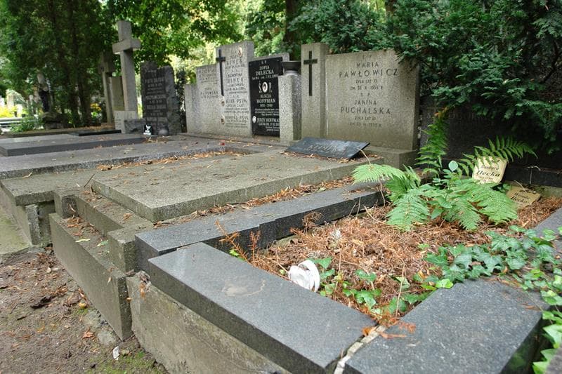 Zdjęcie grobu Romuald Klimek (1)