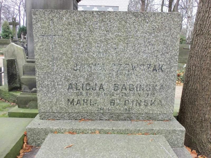Zdjęcie grobu Maria Bagińska (2)