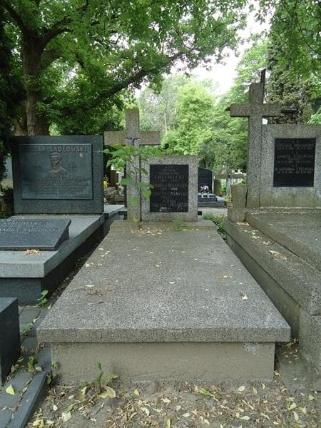 Zdjęcie grobu: Stanisław Chełmecki