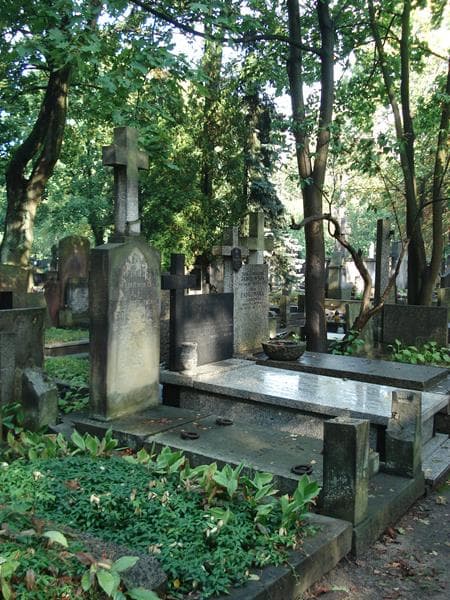 Zdjęcie grobu: Rozalja Królikowska