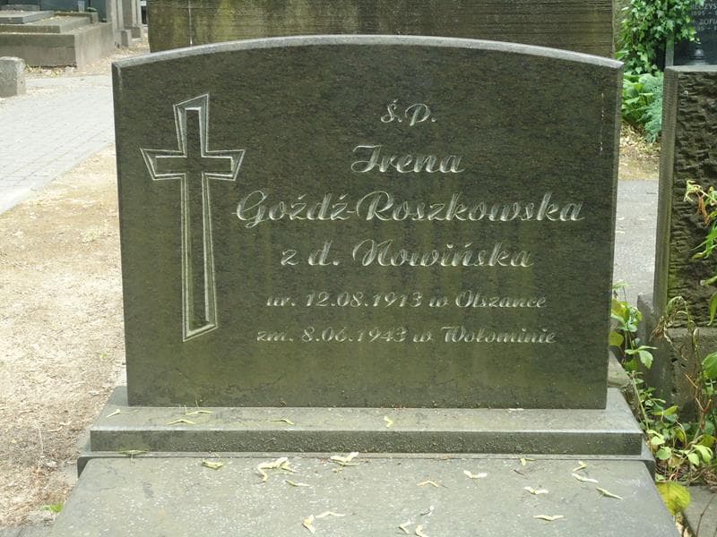 Zdjęcie grobu Irena Goźdź-Roszkowska (2)