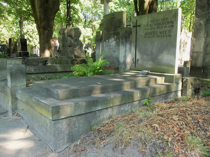 Zdjęcie grobu Zofia Wolffowa (1)