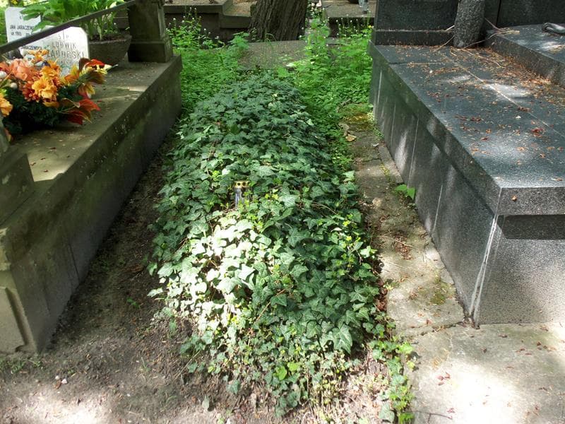 Zdjęcie grobu: Aleksander Brujkowski