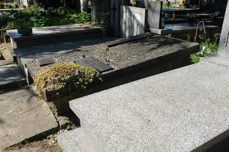 Zdjęcie grobu: Władysława Brzozowska