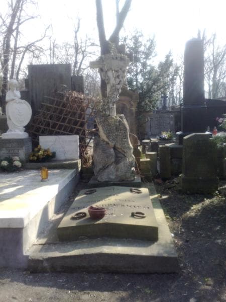 Zdjęcie grobu: Rozalia Lewandowska