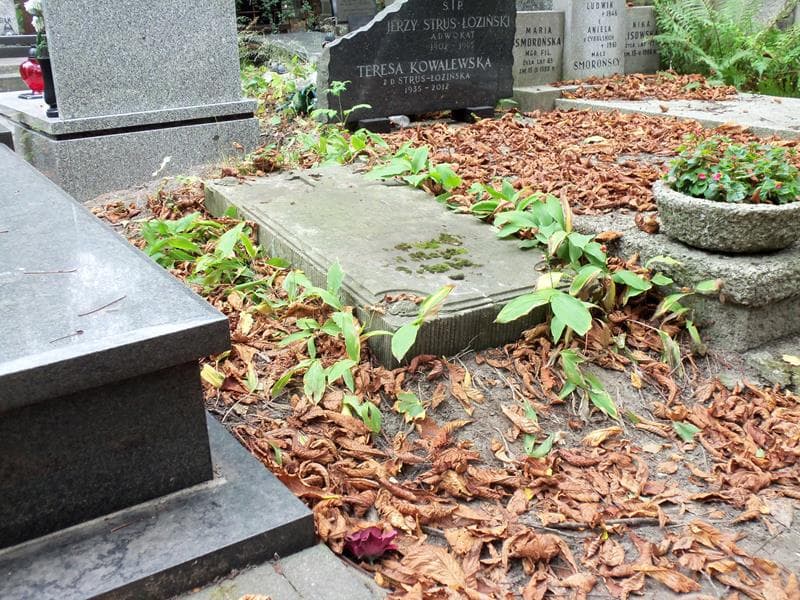 Zdjęcie grobu Kunegunda Pieniążek (1)