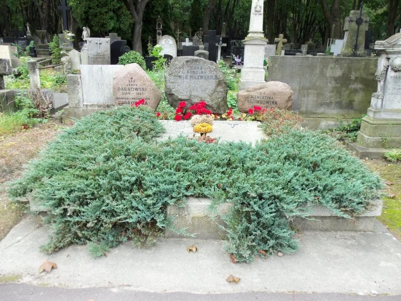 Zdjęcie grobu: Jerzy Dąbrowski