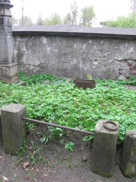 Zdjęcie grobu Agnieszka Leszczyńska (2)
