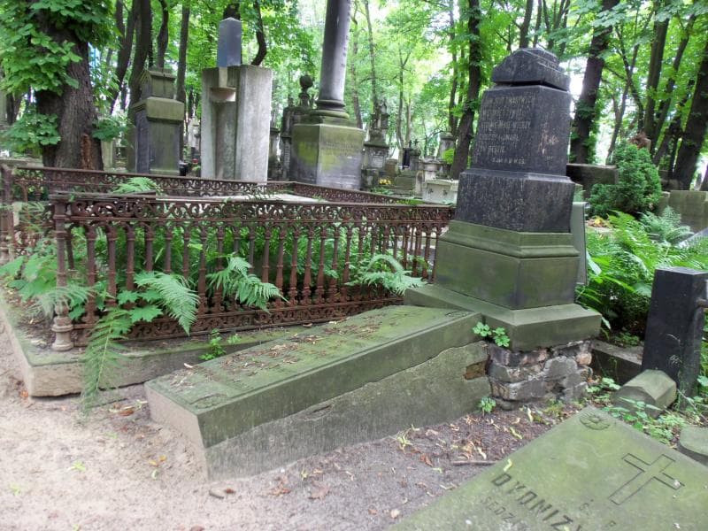 Zdjęcie grobu Franciszek Martin (1)