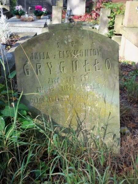 Zdjęcie grobu Julja Grygułło (1)