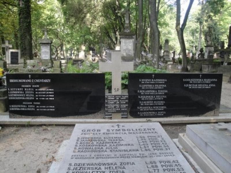 Zdjęcie grobu Józefa Ogrodowicz (2)