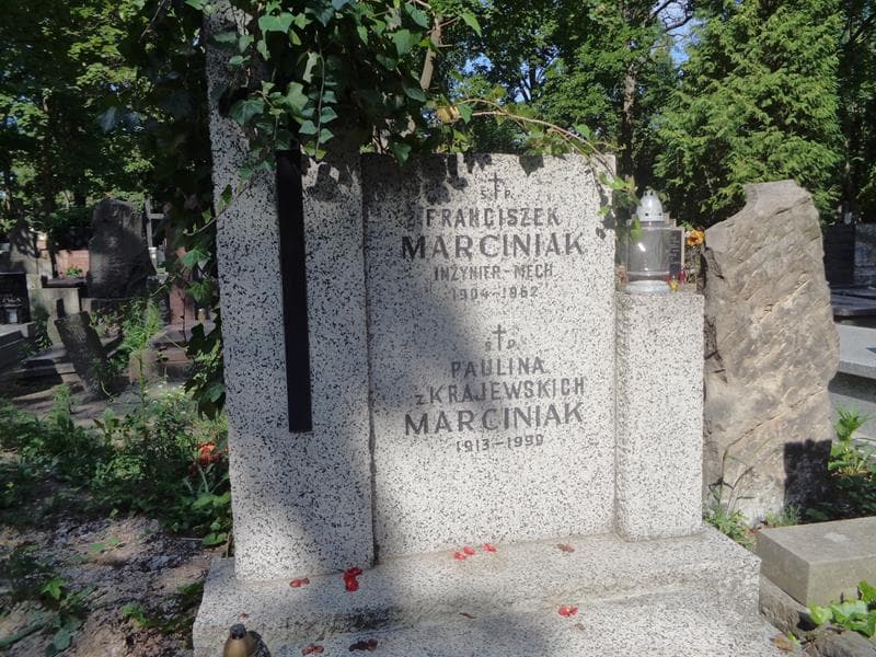 Zdjęcie grobu Franciszek Marciniak (2)