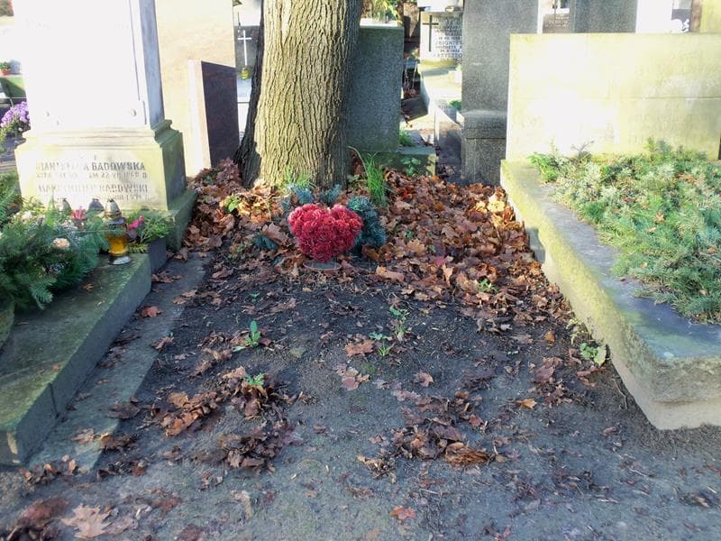 Zdjęcie grobu: Pole Grobowe