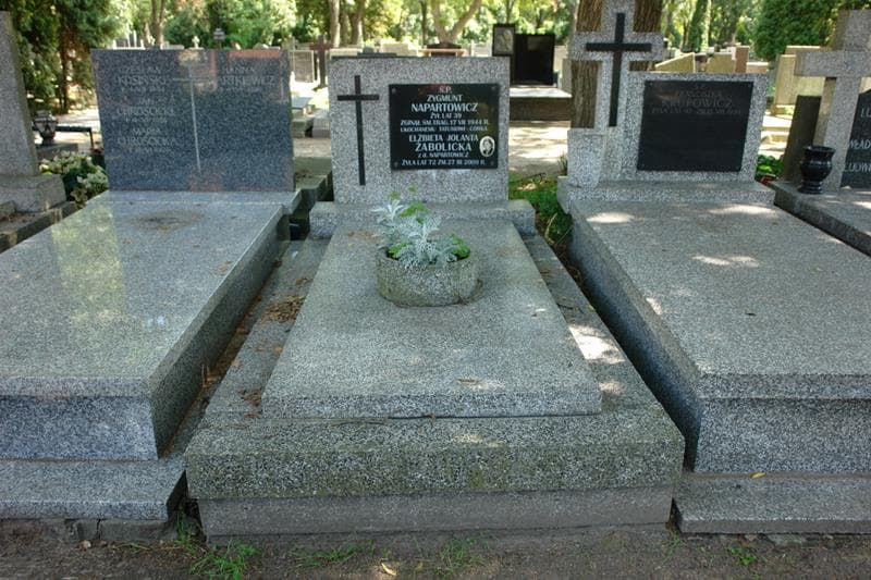 Zdjęcie grobu Zygmunt Napartowicz (1)