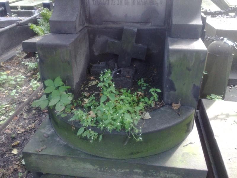 Zdjęcie grobu Stasio Czarnecki (2)