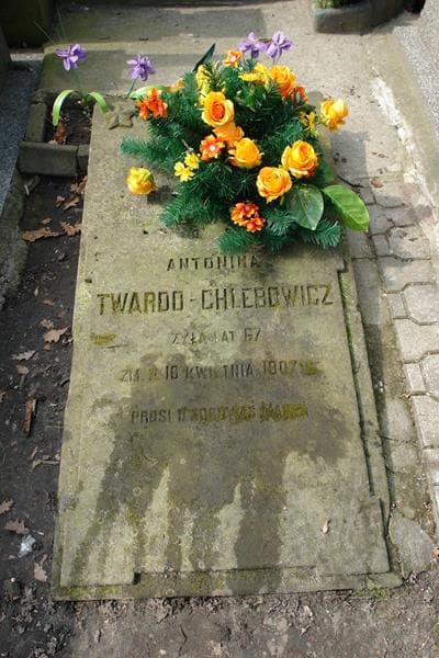 Zdjęcie grobu Antonina Twardo-Chlebowicz (1)